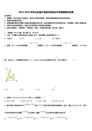 2023-2024学年山东省宁津县市级名校中考猜题数学试卷含解析.doc
