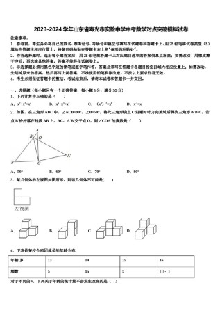 2023-2024学年山东省寿光市实验中学中考数学对点突破模拟试卷含解析.doc
