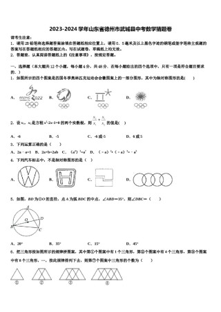 2023-2024学年山东省德州市武城县中考数学猜题卷含解析.doc