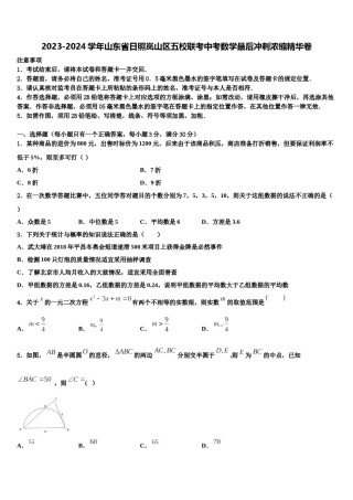 2023-2024学年山东省日照岚山区五校联考中考数学最后冲刺浓缩精华卷含解析.doc