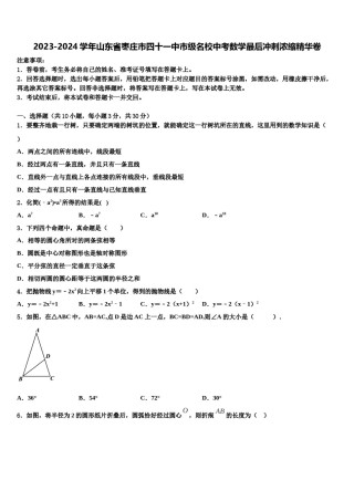 2023-2024学年山东省枣庄市四十一中市级名校中考数学最后冲刺浓缩精华卷含解析.doc