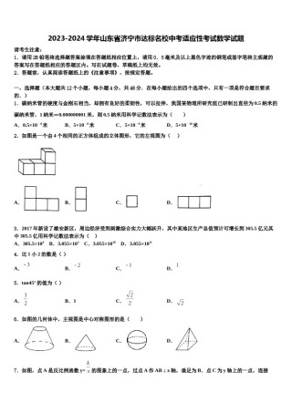 2023-2024学年山东省济宁市达标名校中考适应性考试数学试题含解析.doc