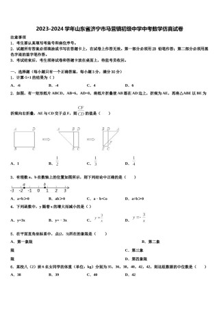 2023-2024学年山东省济宁市马营镇初级中学中考数学仿真试卷含解析.doc