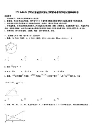 2023-2024学年山东省济宁海达行知校中考数学考试模拟冲刺卷含解析.doc