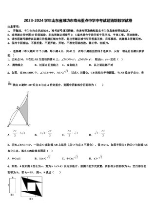 2023-2024学年山东省潍坊市寿光重点中学中考试题猜想数学试卷含解析.doc