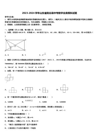 2023-2024学年山东省阳谷县中考数学全真模拟试题含解析.doc