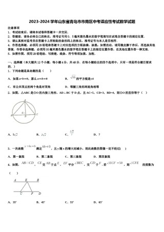 2023-2024学年山东省青岛市市南区中考适应性考试数学试题含解析.doc