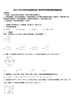 2023-2024学年山东省青岛市广雅中学中考数学模拟精编试卷含解析.doc