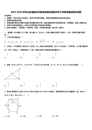 2023-2024学年山东省青岛市新海岸新区信阳中学十校联考最后数学试题含解析.doc