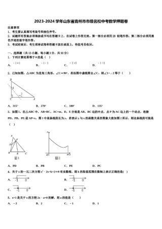 2023-2024学年山东省青州市市级名校中考数学押题卷含解析.doc