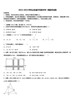 2023-2024学年山东省齐河县中考一模数学试题含解析.doc