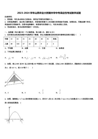 2023-2024学年山西农业大附属中学中考适应性考试数学试题含解析.doc