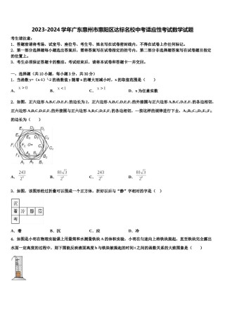 2023-2024学年广东惠州市惠阳区达标名校中考适应性考试数学试题含解析.doc