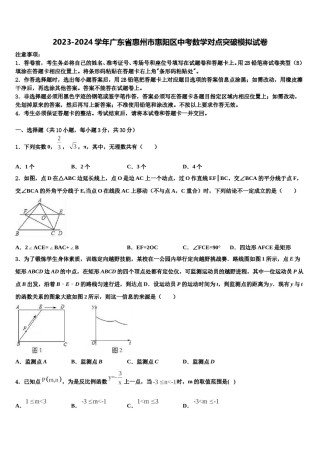 2023-2024学年广东省惠州市惠阳区中考数学对点突破模拟试卷含解析.doc