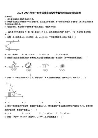 2023-2024学年广东省深圳实验校中考数学对点突破模拟试卷含解析.doc