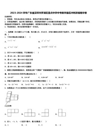 2023-2024学年广东省深圳市罗湖区重点中学中考数学最后冲刺浓缩精华卷含解析.doc