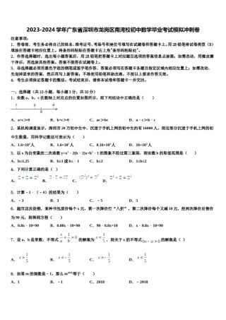 2023-2024学年广东省深圳市龙岗区南湾校初中数学毕业考试模拟冲刺卷含解析.doc
