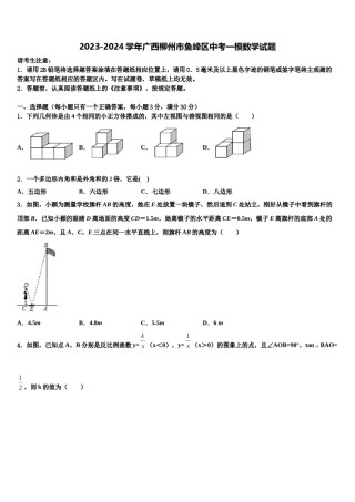 2023-2024学年广西柳州市鱼峰区中考一模数学试题含解析.doc