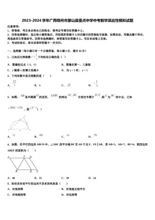 2023-2024学年广西梧州市蒙山县重点中学中考数学适应性模拟试题含解析.doc