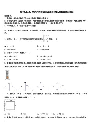 2023-2024学年广西贵港市中考数学对点突破模拟试卷含解析.doc