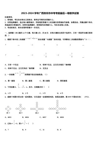 2023-2024学年广西贺州市中考考前最后一卷数学试卷含解析.doc