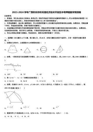2023-2024学年广西钦州市钦州港经济技术开发区中考押题数学预测卷含解析.doc