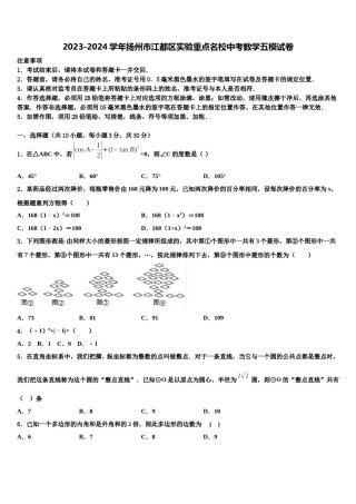 2023-2024学年扬州市江都区实验重点名校中考数学五模试卷含解析.doc