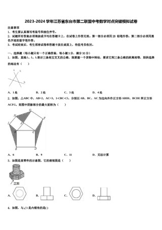 2023-2024学年江苏省东台市第二联盟中考数学对点突破模拟试卷含解析.doc