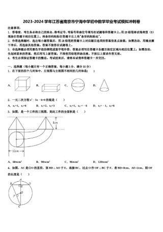 2023-2024学年江苏省南京市宁海中学初中数学毕业考试模拟冲刺卷含解析.doc