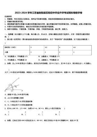 2023-2024学年江苏省射阳县实验初中毕业升学考试模拟卷数学卷含解析.doc