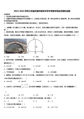 2023-2024学年江苏省无锡市新安中学中考数学适应性模拟试题含解析.doc
