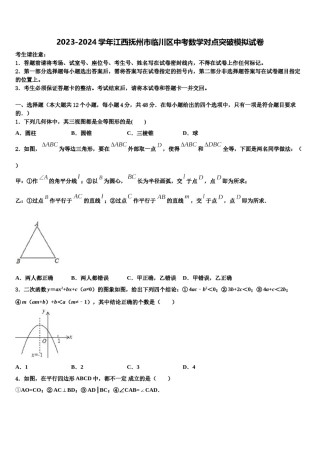 2023-2024学年江西抚州市临川区中考数学对点突破模拟试卷含解析.doc