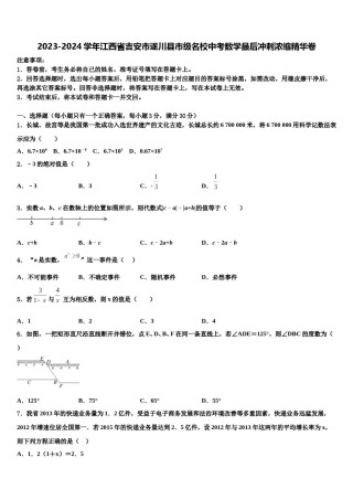 2023-2024学年江西省吉安市遂川县市级名校中考数学最后冲刺浓缩精华卷含解析.doc