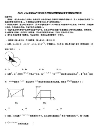 2023-2024学年泸州市重点中学初中数学毕业考试模拟冲刺卷含解析.doc