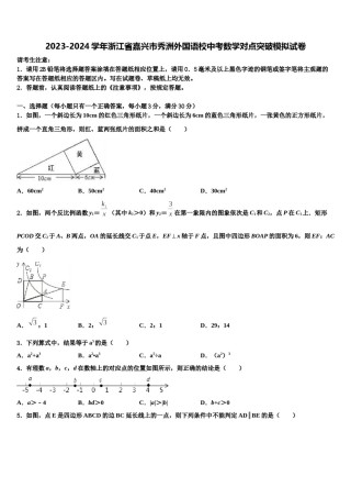 2023-2024学年浙江省嘉兴市秀洲外国语校中考数学对点突破模拟试卷含解析.doc