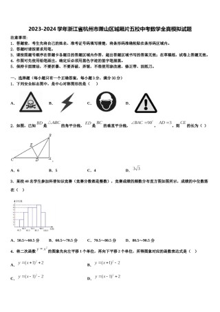 2023-2024学年浙江省杭州市萧山区城厢片五校中考数学全真模拟试题含解析.doc