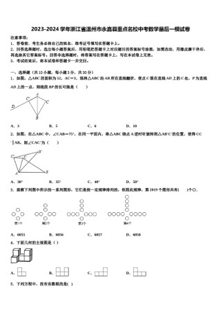 2023-2024学年浙江省温州市永嘉县重点名校中考数学最后一模试卷含解析.doc