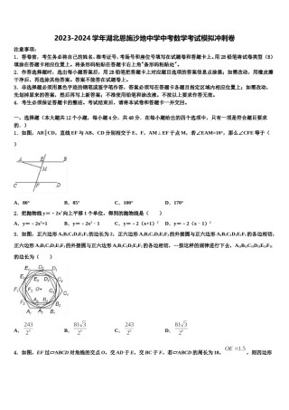 2023-2024学年湖北恩施沙地中学中考数学考试模拟冲刺卷含解析.doc