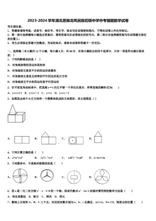 2023-2024学年湖北恩施龙凤民族初级中学中考猜题数学试卷含解析.doc