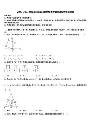 2023-2024学年湖北省武汉六中学中考数学适应性模拟试题含解析.doc