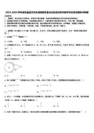 2023-2024学年湖北省武汉市东湖高新区重点达标名校初中数学毕业考试模拟冲刺卷含解析.doc