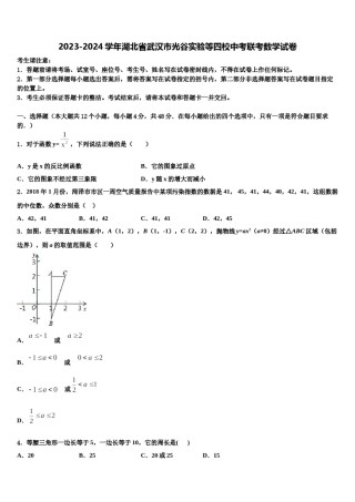 2023-2024学年湖北省武汉市光谷实验等四校中考联考数学试卷含解析.doc