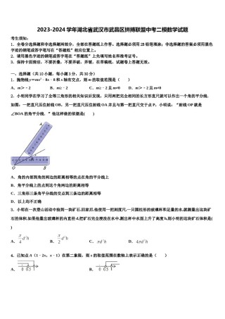 2023-2024学年湖北省武汉市武昌区拼搏联盟中考二模数学试题含解析.doc