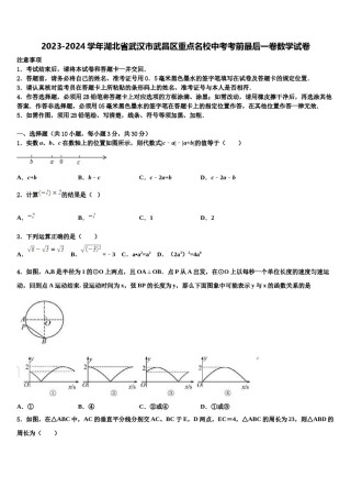 2023-2024学年湖北省武汉市武昌区重点名校中考考前最后一卷数学试卷含解析.doc