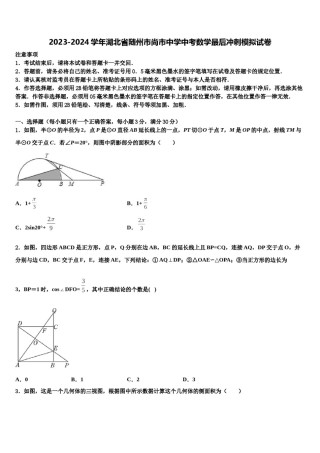 2023-2024学年湖北省随州市尚市中学中考数学最后冲刺模拟试卷含解析.doc