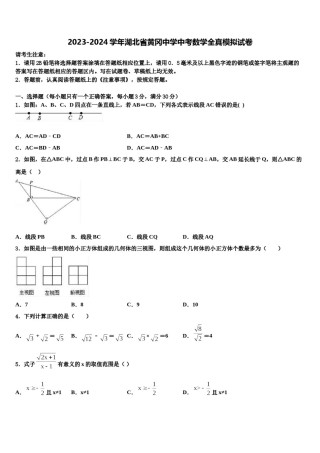 2023-2024学年湖北省黄冈中学中考数学全真模拟试卷含解析.doc