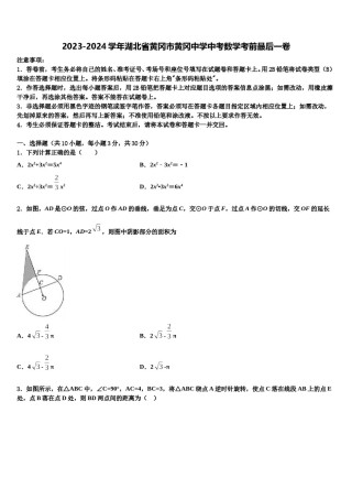 2023-2024学年湖北省黄冈市黄冈中学中考数学考前最后一卷含解析.doc