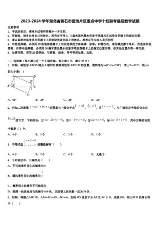 2023-2024学年湖北省黄石市富池片区重点中学十校联考最后数学试题含解析.doc