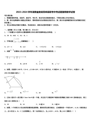 2023-2024学年湖南省娄底双峰县联考中考试题猜想数学试卷含解析.doc