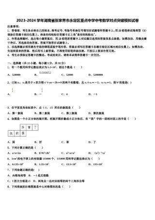 2023-2024学年湖南省张家界市永定区重点中学中考数学对点突破模拟试卷含解析.doc